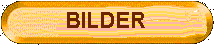 aktuelle Bilder